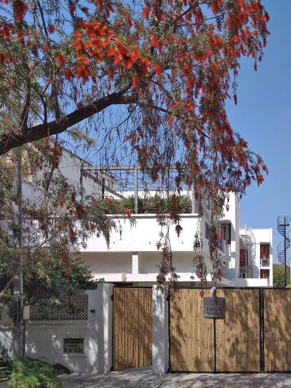 A white modern house with a wooden gate is partially obscured by a tree with red flowers, set against a clear blue sky—reminiscent of the inviting charm found at boutique hotels in New Delhi. Sunlight casts warm, welcoming shadows across the scene.