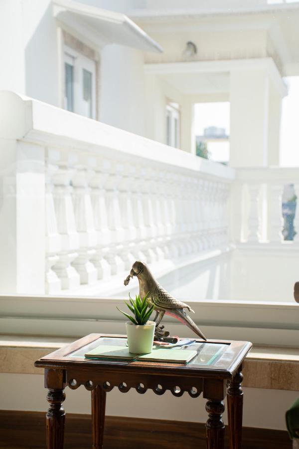 12 BEST Boutique Hotels in Jaipur 10 A small green potted plant and a bird perch on a wooden table by a bright window—evoking the charming ambiance often found in boutique hotels in Jaipur, with white railings and a building visible outside.
