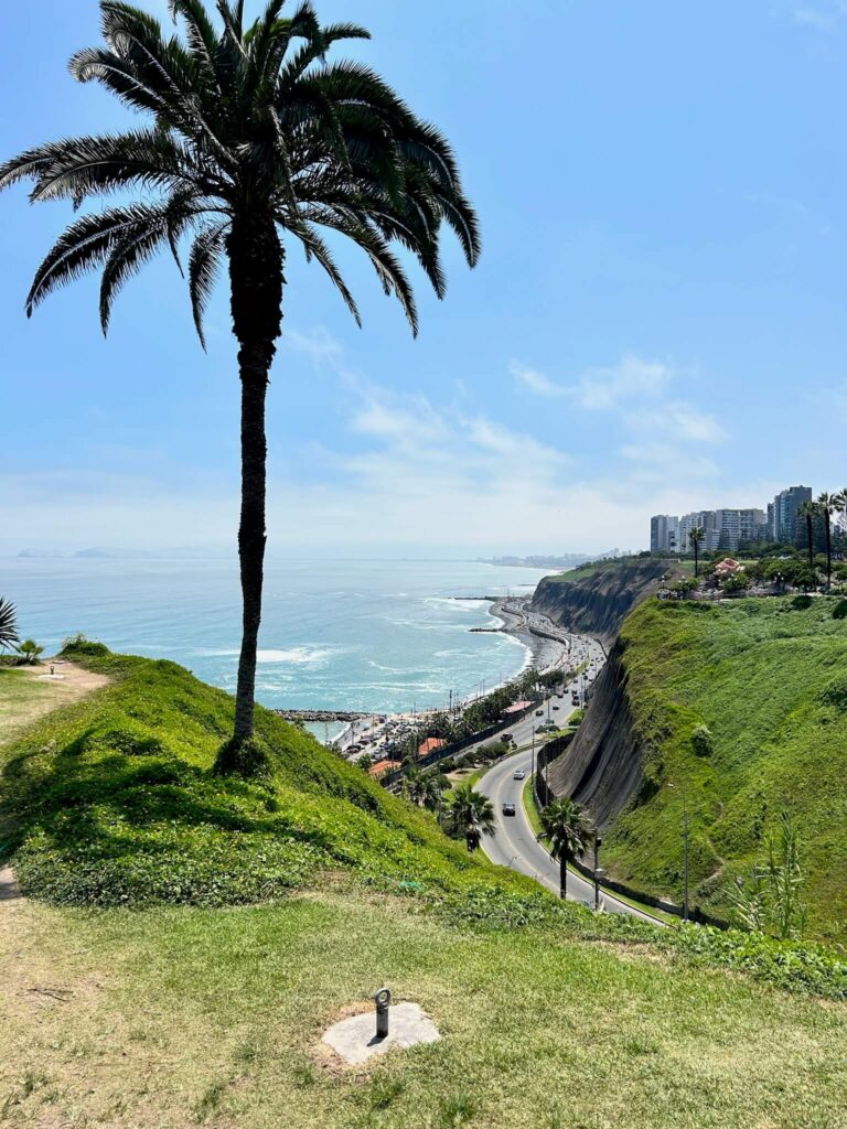9 Unique Boutique Hotels in Lima 4 A tall palm tree stands on a grassy cliff overlooking a winding coastal road, with the ocean, city buildings, and boutique hotels in Lima visible in the distance under a clear blue sky.