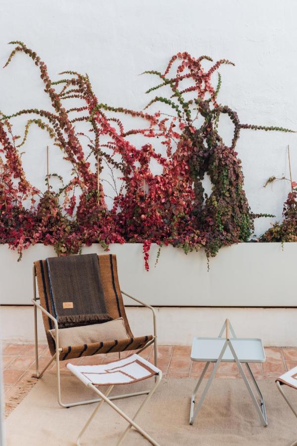 A minimalist patio reminiscent of boutique hotels in Seville, with two modern chairs and a small table on a rug, set against a white wall adorned by climbing plants with red and green leaves in a planter.