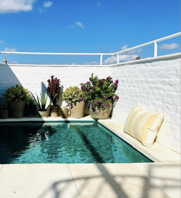 A small pool with clear water is surrounded by potted plants against a white wall, evoking the tranquil ambiance found in boutique hotels in Seville. A yellow-striped cushion rests on the pool’s edge under a bright blue sky dotted with a few clouds.